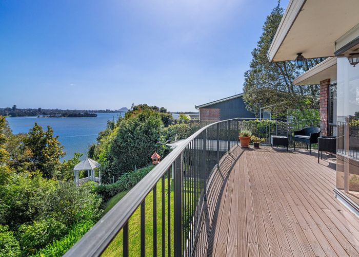  at 45 Ririnui Place, Maungatapu, Tauranga