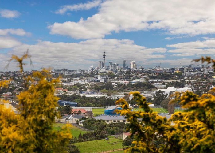  at 83 Mount Albert Road, Mount Albert, Auckland