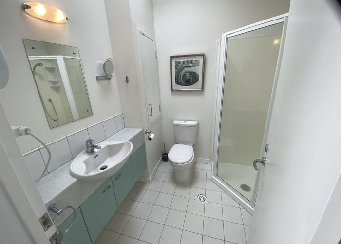 at 14/27 Birdwood Crescent, Parnell, Auckland City, Auckland