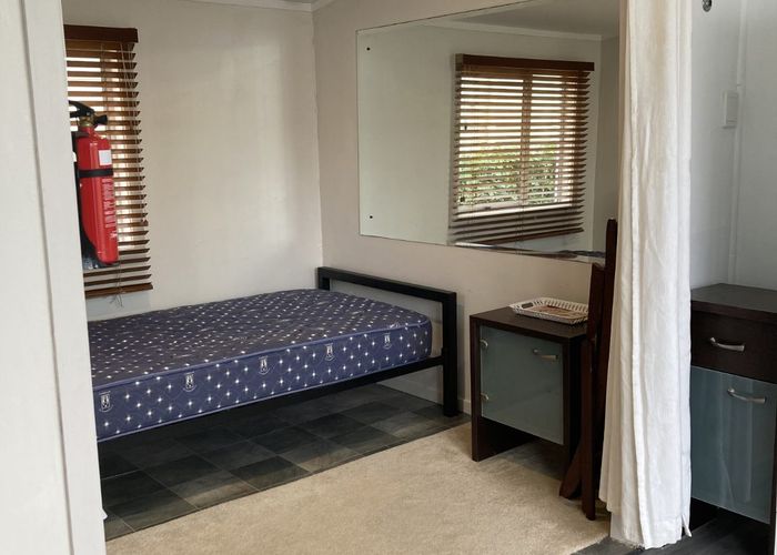  at 217B Mount Albert Road, Sandringham, Auckland City, Auckland