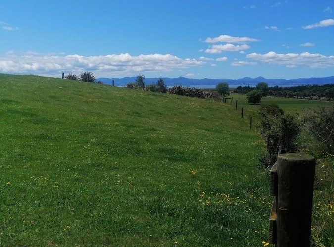 For sale 722b Back Miranda Road, Miranda, Waikato, Waikato homes.co.nz