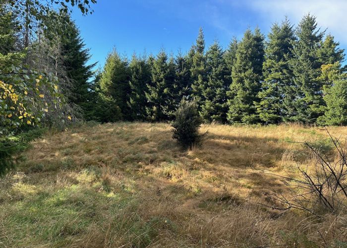  at 1 Mt Lyford Avenue, Waiau, Hurunui, Canterbury