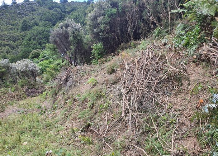  at 44 John Street, Stokes Valley, Lower Hutt, Wellington