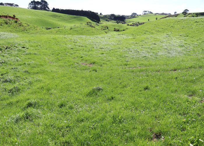  at Lt2/310 Henwood Road, Bell Block, New Plymouth, Taranaki