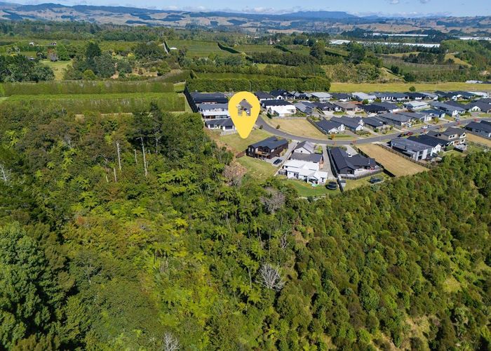  at 217 Te Ranga Memorial Drive, Pyes Pa, Western Bay Of Plenty, Bay Of Plenty