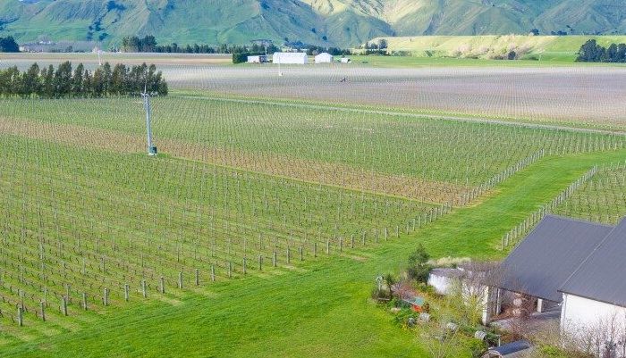  at 224 Te Muna Road, Martinborough, South Wairarapa, Wellington