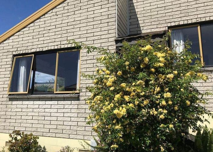  at 293A Waihi Road, Judea, Tauranga, Bay Of Plenty