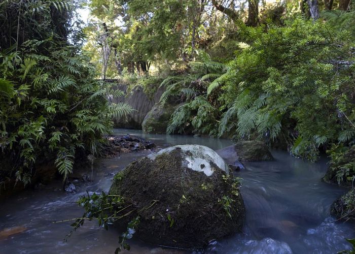  at 1238 Fern Flat Road, Kaeo, Far North, Northland