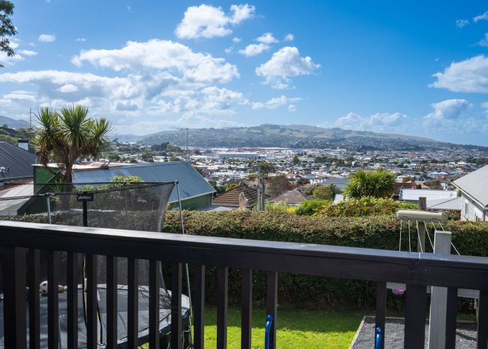  at 19 Cole Street, Caversham, Dunedin