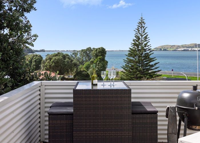  at 20 Wikitoria Street, Maungatapu, Tauranga, Bay Of Plenty