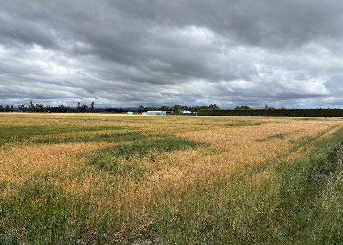  at 215 Falvey Road, Timaru, Timaru, Canterbury