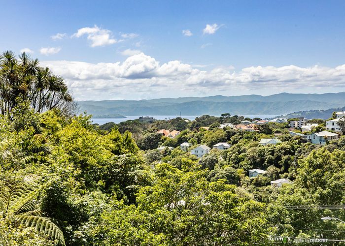 Recently sold 17 Northland Road, Northland, Wellington homes.co.nz