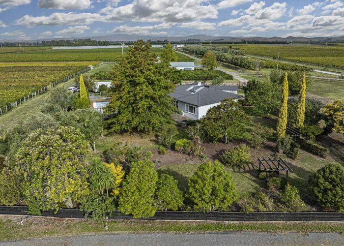  at 2523 State Highway 50, Roys Hill, Hastings, Hawke's Bay