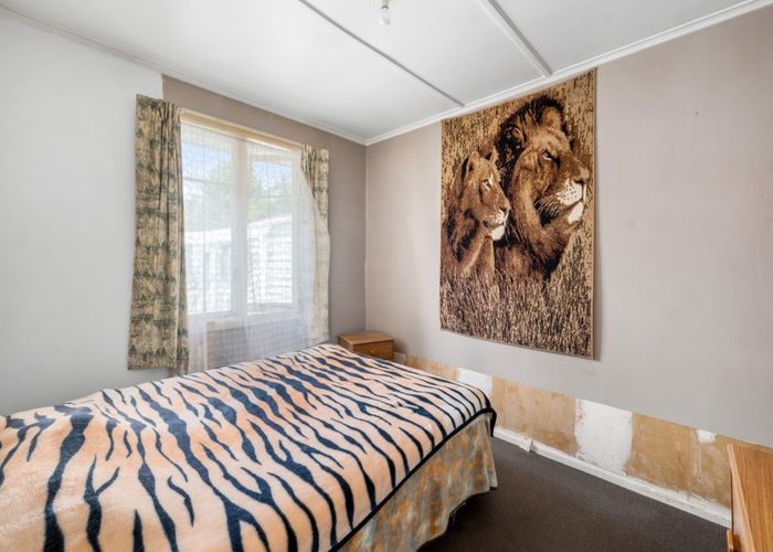  at 19 Nikau Street, Springfield, Rotorua