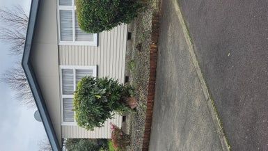  at 28 Daniell Street, Solway, Masterton