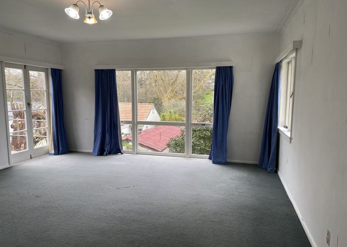  at 20 Hillsborough Terrace, Hamilton City Central, Hamilton, Waikato