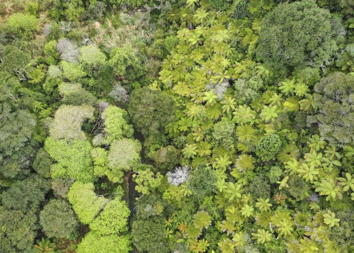  at 139 Paparoa Road, Whakatane, Whakatane, Bay Of Plenty