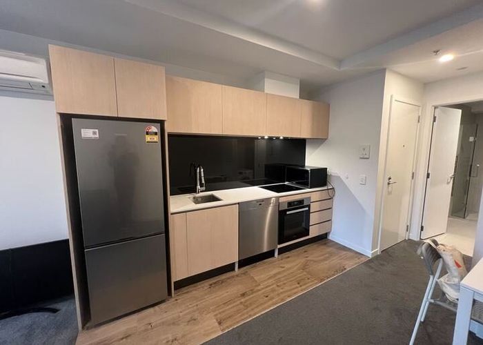  at 309a/428 Dominion Rd, Mount Eden, Auckland City, Auckland