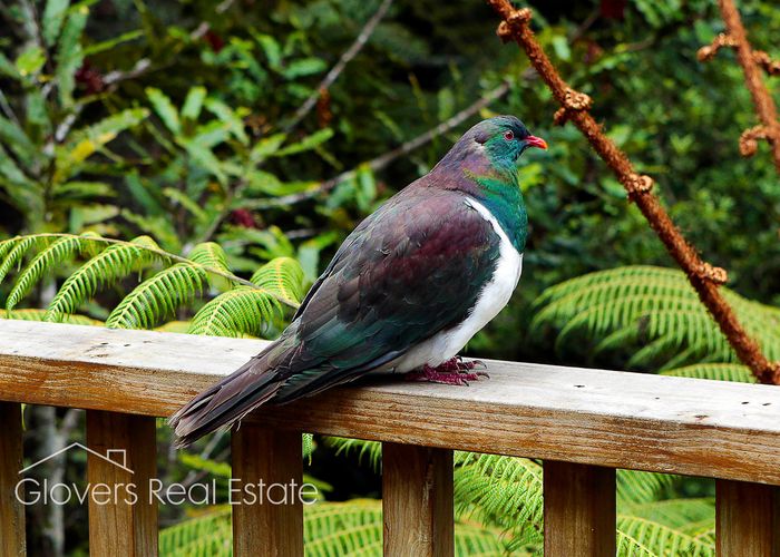  at 157B Konini Road, Titirangi, Auckland