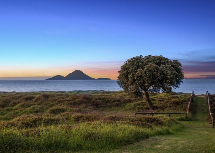  at 14 Commodores Close, Coastlands, Whakatane, Bay Of Plenty