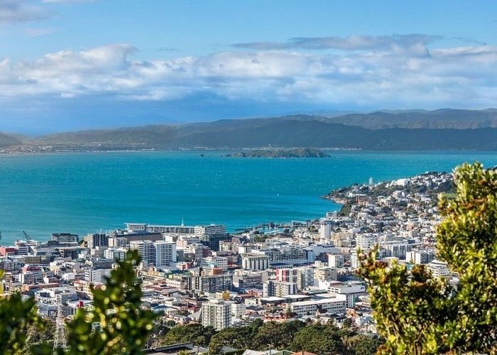  at 97 Karepa Street, Brooklyn, Wellington, Wellington