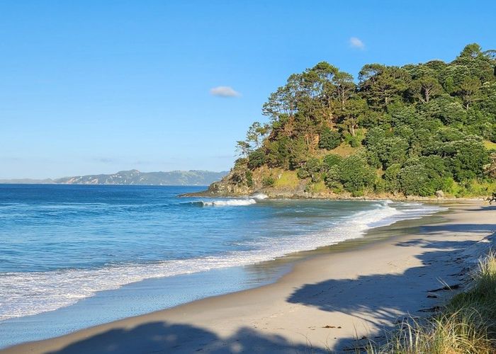  at 254 Tangiora Avenue, Whangapoua, Coromandel