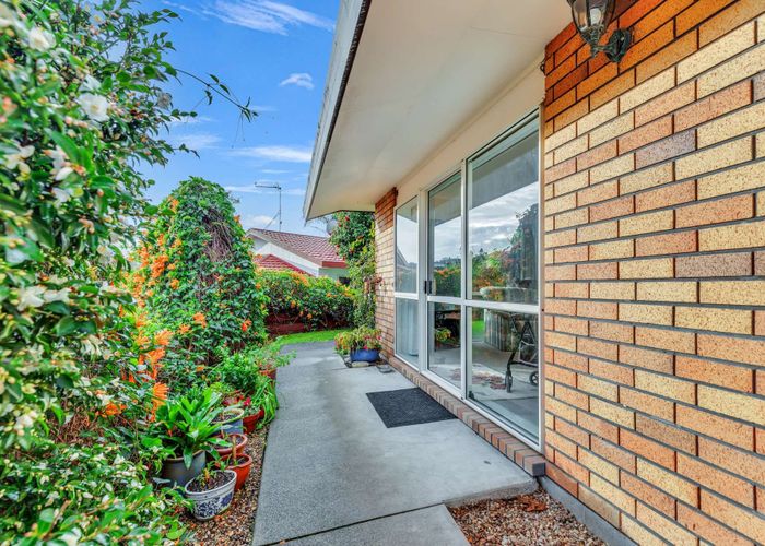  at 15 Baden Street,, Otumoetai, Tauranga, Bay Of Plenty