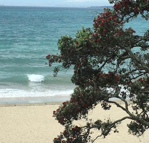  at 48B Hauraki Rd, Hauraki, North Shore City, Auckland