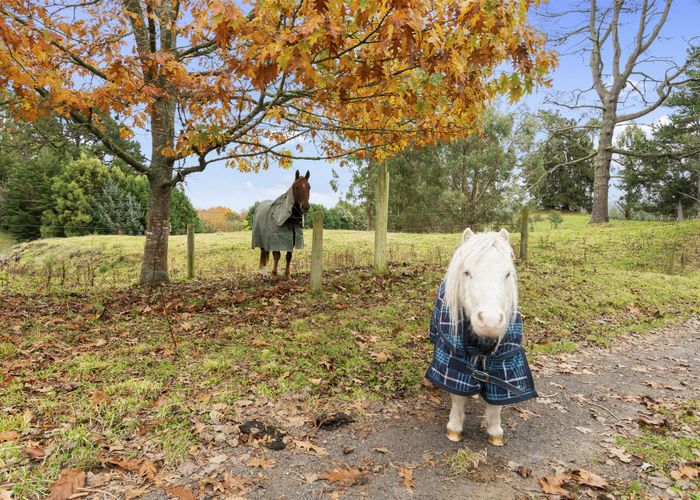  at 716 Oruanui Road, Oruanui, Taupo