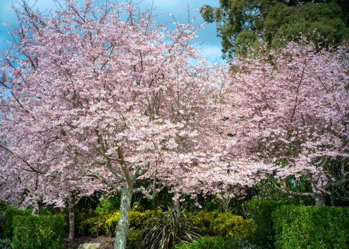  at 5/275 Pukehangi Road, Pukehangi, Rotorua, Bay Of Plenty