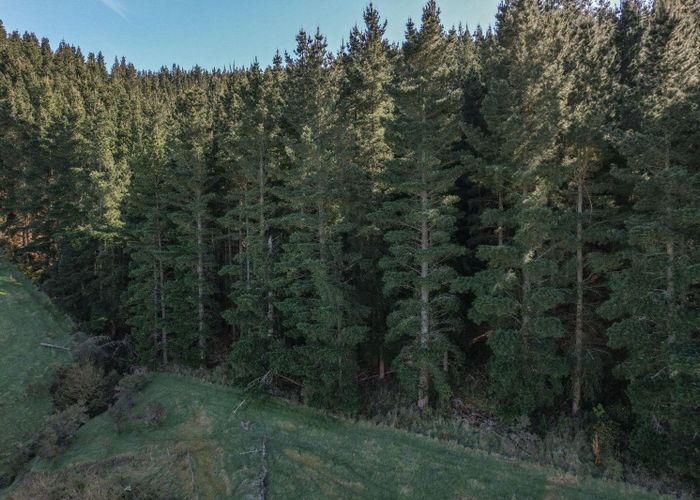  at 245 Sladdens Bush Road, Oxford, Waimakariri, Canterbury