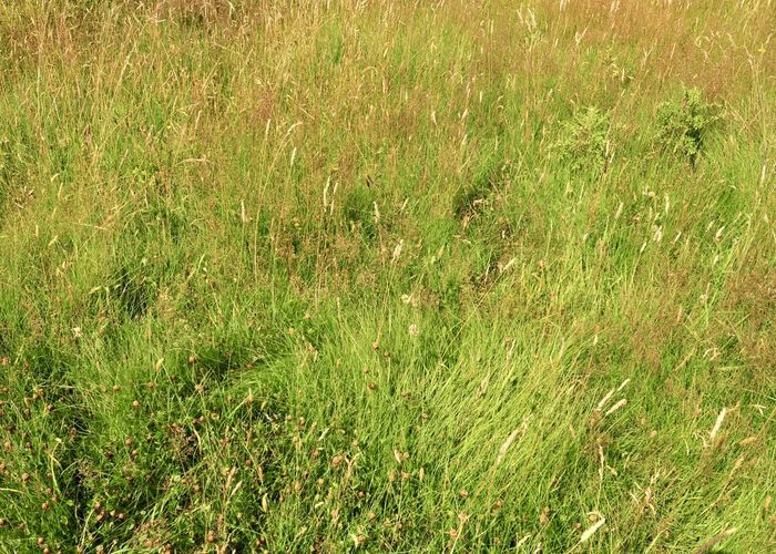 For sale 0 McKenzie Road, Livingstone, Duntroon, Waitaki, Otago