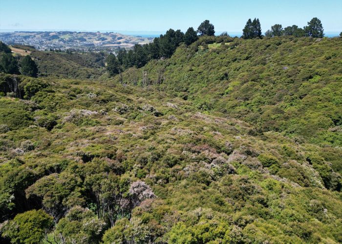  at 114 Chain Hills Road, Chain Hills, Dunedin