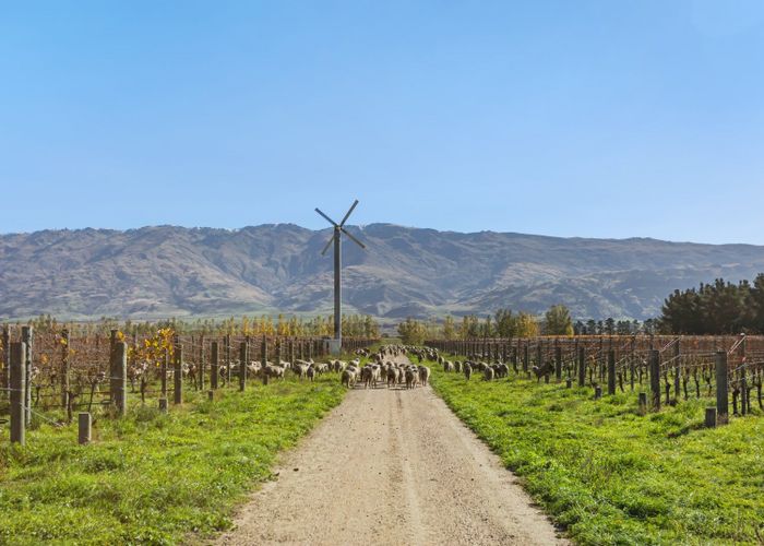  at 198 / 297 Loop Road, Cromwell, Central Otago, Otago