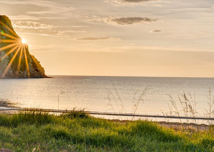  at 22 Pohutukawa Drive, Mahia, Wairoa, Hawke's Bay