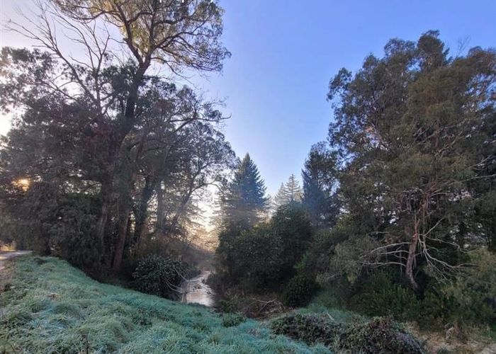  at 19 Harold Crescent, Fordlands, Rotorua