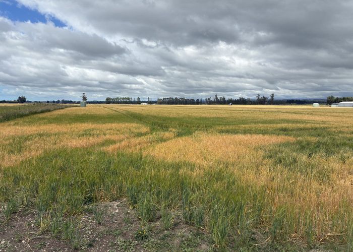  at 215 Falvey Road, Timaru, Timaru, Canterbury