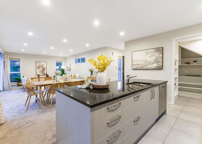  at 51 Banks Boulevard, Whitby, Porirua, Wellington