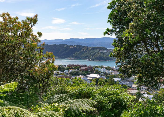  at 39 Marewa Road, Hataitai, Wellington