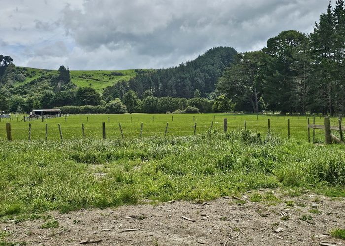  at 39 Newman Road, Eketahuna, Tararua, Manawatu / Whanganui