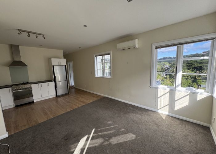  at 17b Plunket Street, Kelburn, Wellington, Wellington