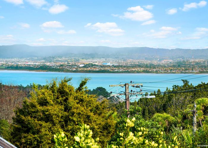  at 1/42 Waipa ST, Birkenhead, Auckland