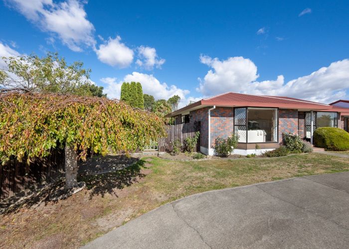  at 55 Brooklyn Drive, Redwoodtown, Blenheim, Marlborough