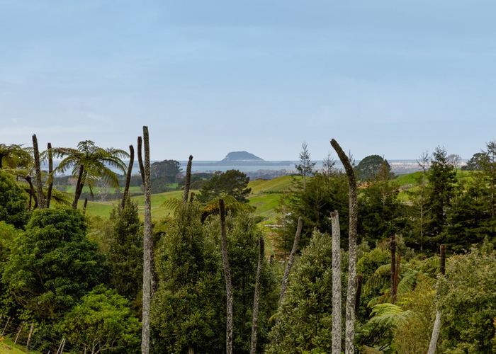  at 649C Esdaile Road, Tauranga
