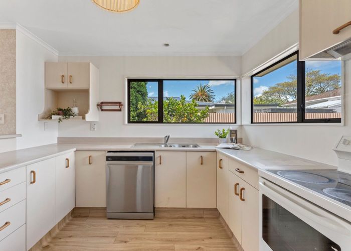  at 19A College Street, Awapuni, Palmerston North