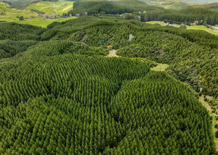  at State Highway 32, Turangi, Taupo, Waikato