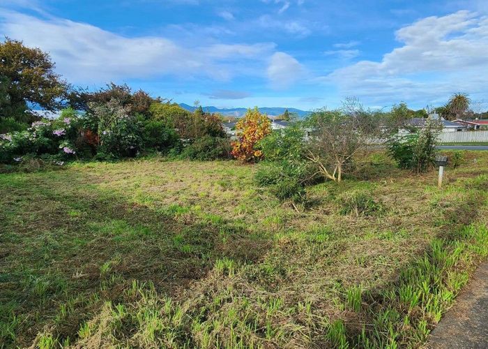  at 8 Roslyn Road, Levin, Horowhenua, Manawatu / Whanganui