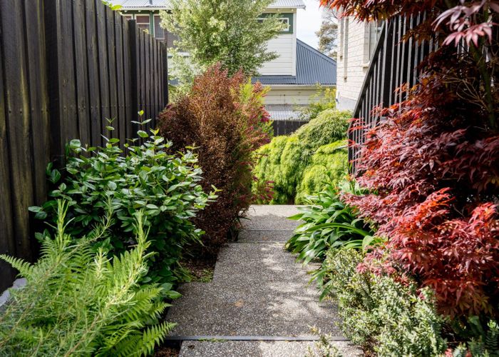  at 12A Bellevue Street, Belleknowes, Dunedin, Otago