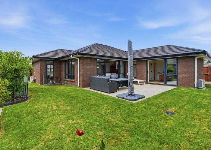  at 3 Whaley Avenue, Papamoa, Tauranga, Bay Of Plenty