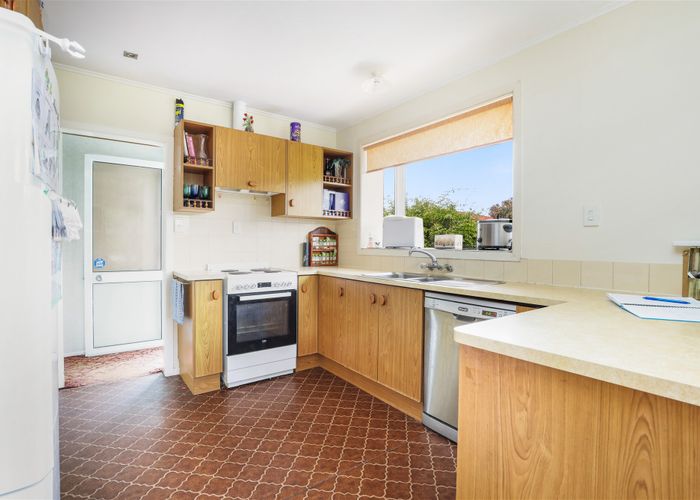  at 19 Herbert Road, Queenwood, Hamilton